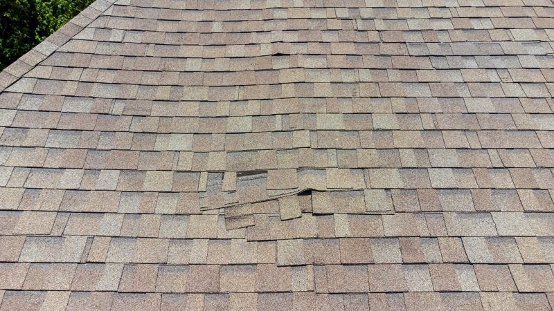 Asphalt Shingle Repair Image 5